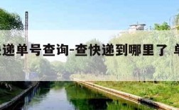 丫T快递单号查询-查快递到哪里了 单号查询