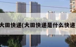 大田快递(大田快递是什么快递)