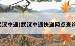 武汉中通(武汉中通快递网点查询)