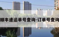 输入顺丰速运单号查询-订单号查询快递