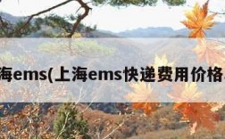 上海ems(上海ems快递费用价格表)