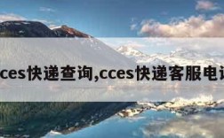 cces快递查询,cces快递客服电话