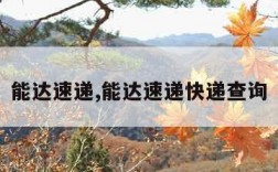 能达速递,能达速递快递查询