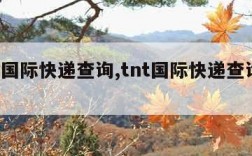 tnt国际快递查询,tnt国际快递查询报价