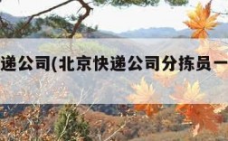 北京快递公司(北京快递公司分拣员一月能挣多少)