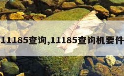 11185查询,11185查询机要件