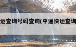 中通快运查询号码查询(中通快运查询号码查询单)
