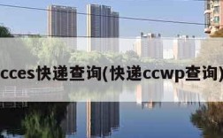 cces快递查询(快递ccwp查询)