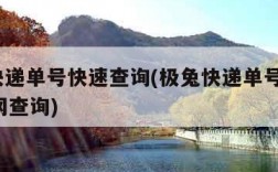 极兔快递单号快速查询(极兔快递单号查询100官网查询)