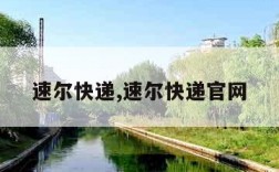 速尔快递,速尔快递官网