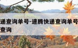 速腾快递查询单号-速腾快递查询单号查询快递单号查询