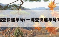 一键查快递单号(一键查快递单号100)