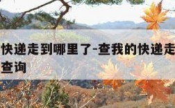 查我的快递走到哪里了-查我的快递走到哪里了怎么查询