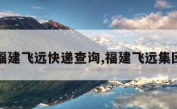 福建飞远快递查询,福建飞远集团