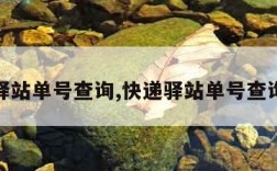 快递驿站单号查询,快递驿站单号查询系统