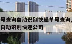 快递单号查询自动识别快递单号查询,快递单号查询自动识别快递公司