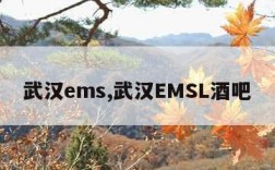 武汉ems,武汉EMSL酒吧