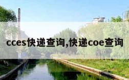 cces快递查询,快递coe查询