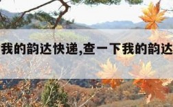 查一下我的韵达快递,查一下我的韵达快递单号查询
