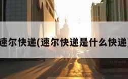 速尔快递(速尔快递是什么快递)