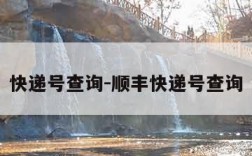 快递号查询-顺丰快递号查询