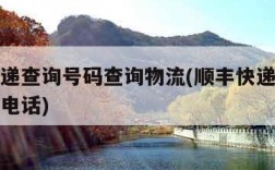 顺丰快递查询号码查询物流(顺丰快递查询单号查询电话)