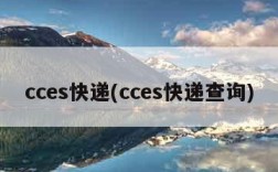 cces快递(cces快递查询)