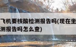 现在坐飞机要核酸检测报告吗(现在坐飞机要核酸检测报告吗怎么查)
