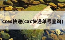 cces快递(cxc快递单号查询)