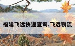 福建飞远快递查询,飞远物流