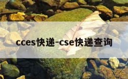 cces快递-cse快递查询