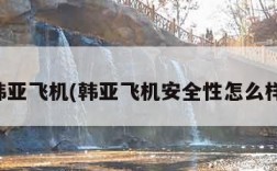 韩亚飞机(韩亚飞机安全性怎么样)