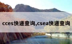 cces快递查询,csea快递查询