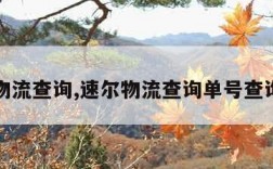 速尔物流查询,速尔物流查询单号查询官网