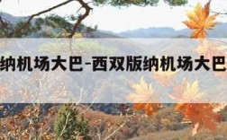西双版纳机场大巴-西双版纳机场大巴到高铁站吗