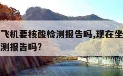 现在坐飞机要核酸检测报告吗,现在坐飞机要核酸检测报告吗?