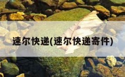 速尔快递(速尔快递寄件)