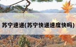 苏宁速递(苏宁快递速度快吗)