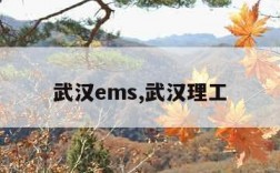 武汉ems,武汉理工
