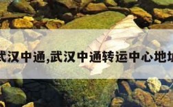 武汉中通,武汉中通转运中心地址